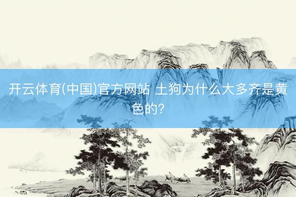 开云体育(中国)官方网站 土狗为什么大多齐是黄色的？