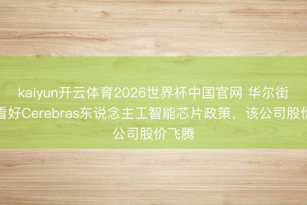 kaiyun开云体育2026世界杯中国官网 华尔街券商看好C