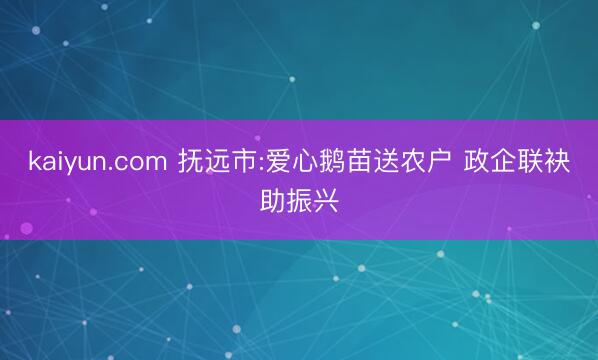 kaiyun.com 抚远市:爱心鹅苗送农户 政企联袂助振兴